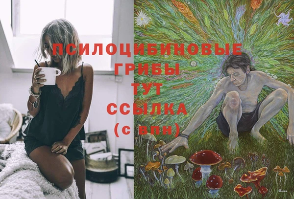 синтетический гашиш Арсеньев