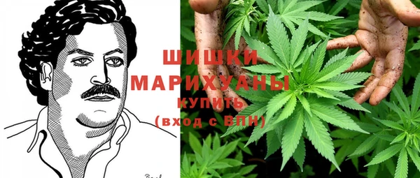 мяу мяу мука Аркадак