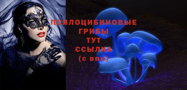 синтетический гашиш Арсеньев